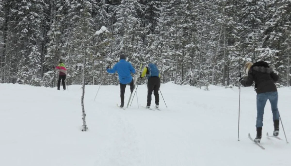 © Copyright: Sektion Treuchtlingen