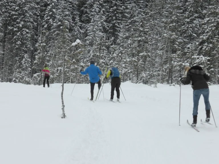 © Copyright: Sektion Treuchtlingen