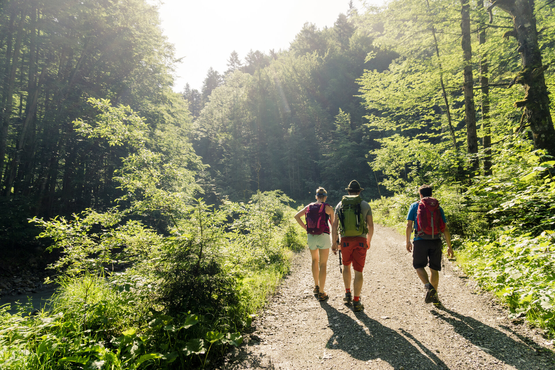 Wandern in den Chiemgauer Bergen | © DAV/Hans Herbig Drei Wanderer auf einem Bergpfad in den Chiemgauer Alpen | © DAV/Hans Herbig